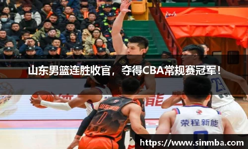 龙珠体育
