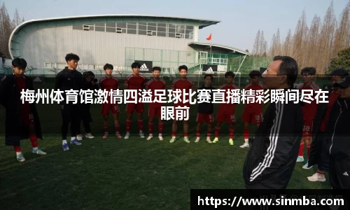 龙珠足球直播