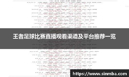 龙珠体育
