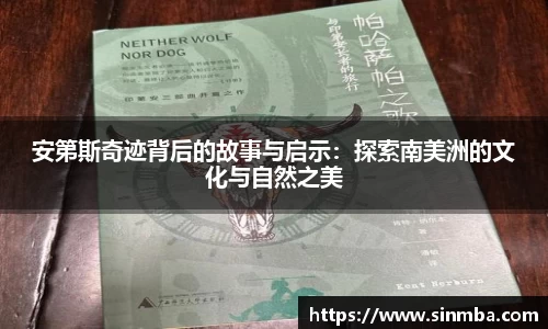 龙珠体育