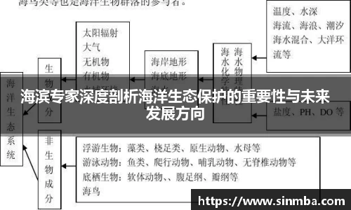 龙珠体育直播