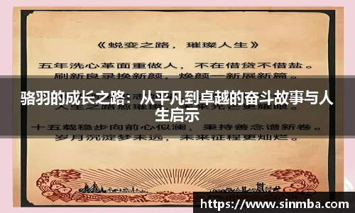 龙珠足球直播