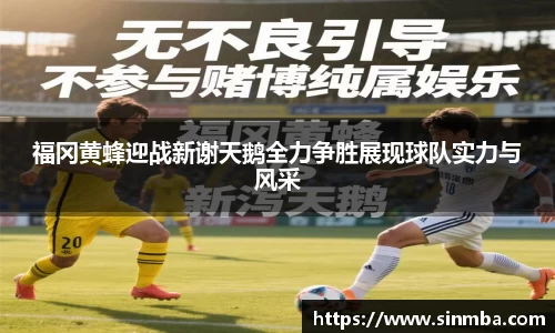 福冈黄蜂迎战新谢天鹅全力争胜展现球队实力与风采
